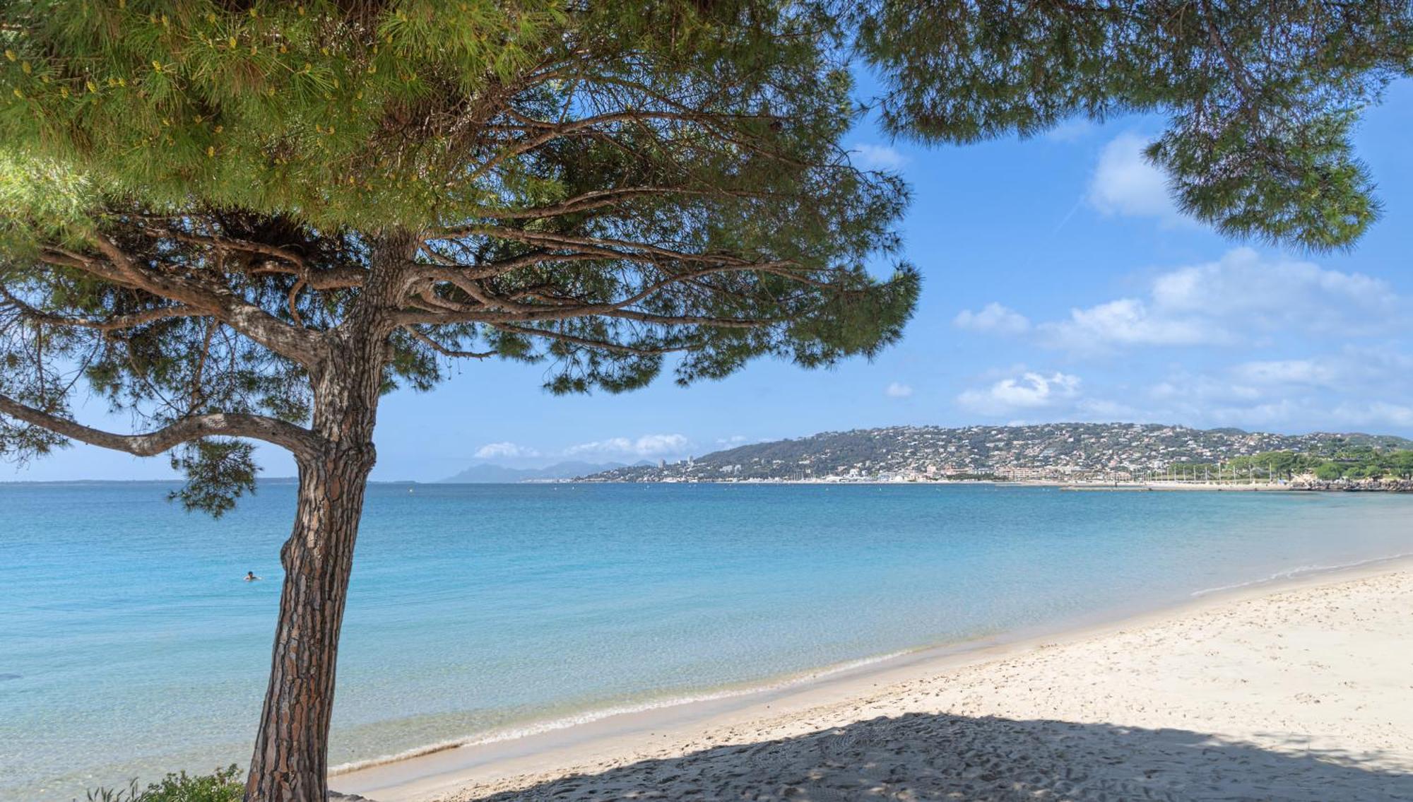 Les 15 Pins & La Mer -Your Green Getaway Near Sea & Beach 앙티브 외부 사진